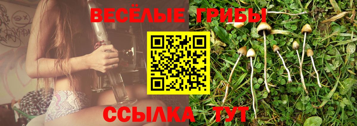 Псилоцибиновые грибы MAGIC MUSHROOMS Славянск-на-Кубани