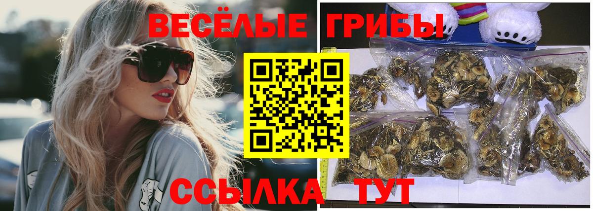 Галлюциногенные грибы Cubensis  Вход с VPN  Галлюциногенные грибы мицелий  Славянск-на-Кубани 